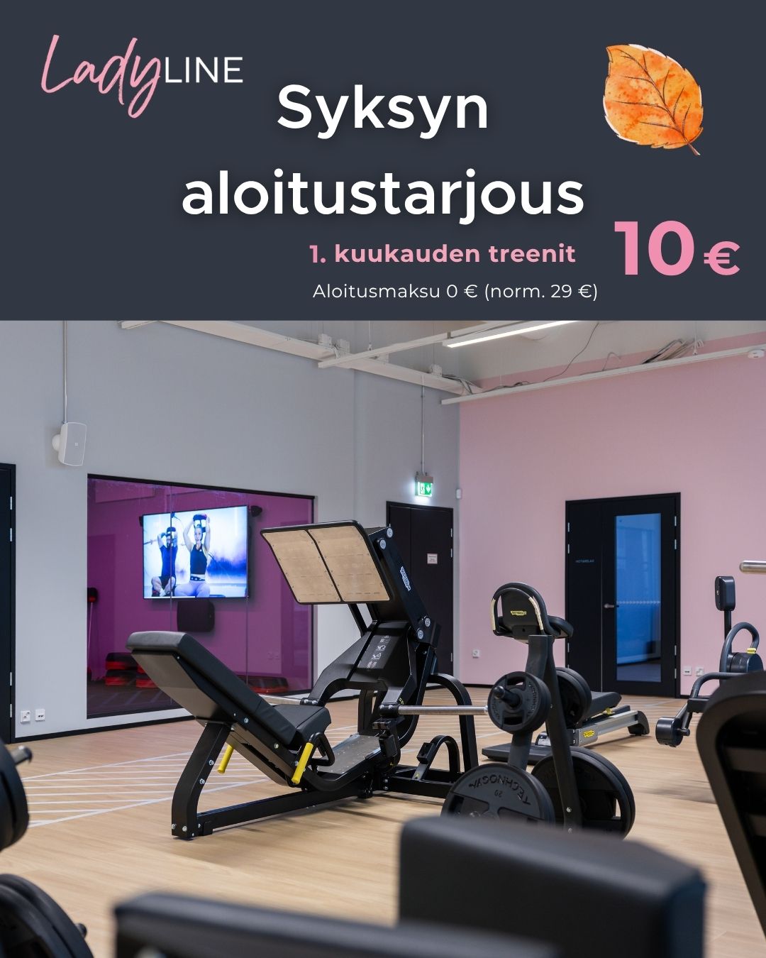 Syksyn aloitustarjous 1. kk 10 € LadyLine Lippulaiva