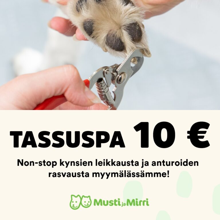 MM_Best_offers_2025_Tassuspa_1080x1080_FEED_FIN (1)